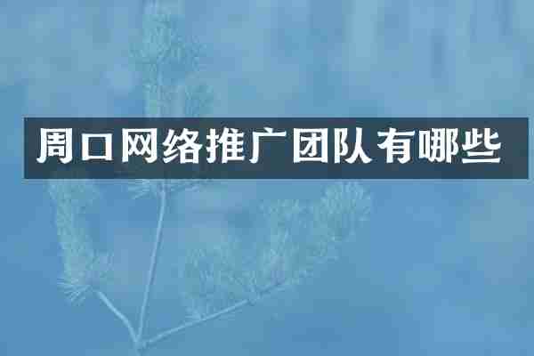 周口网络推广团队有哪些