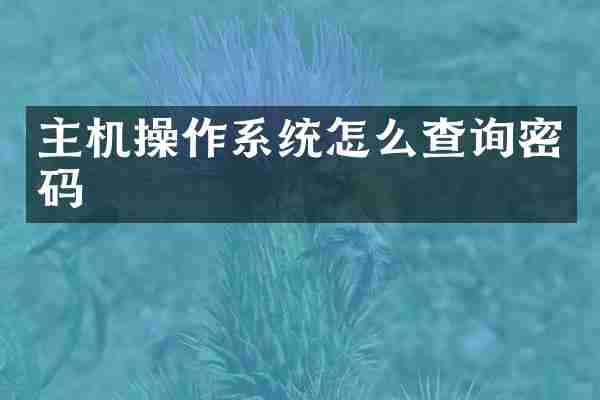 主机操作系统怎么查询密码