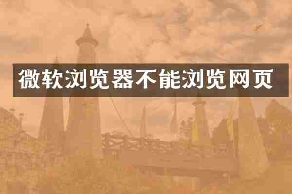 微软浏览器不能浏览网页