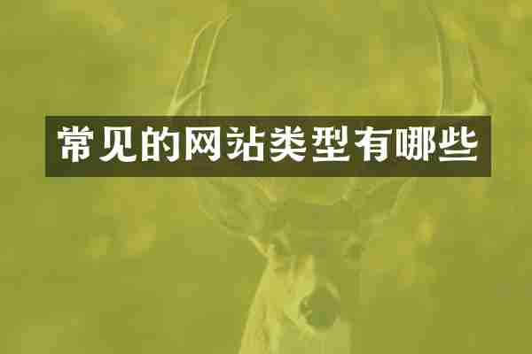常见的网站类型有哪些