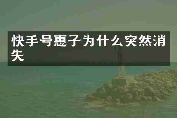 快手号惠子为什么突然消失