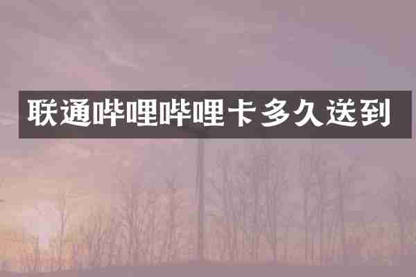 联通哔哩哔哩卡多久送到