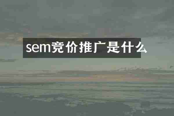 sem竞价推广是什么