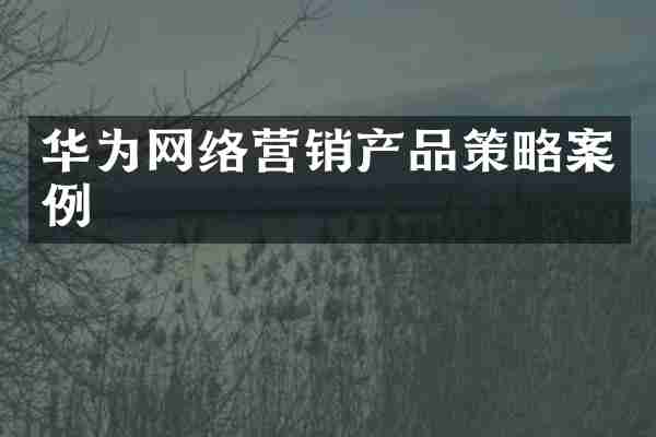 华为网络营销产品策略案例