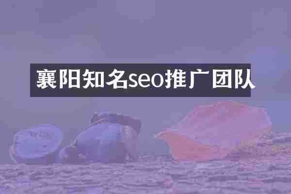 襄阳知名seo推广团队
