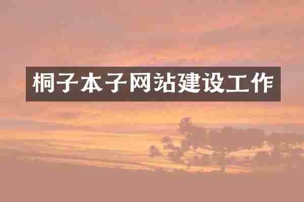桐子本子网站建设工作