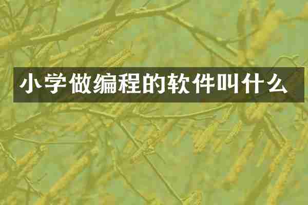 小学做编程的软件叫什么