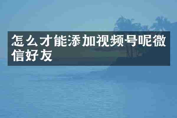 怎么才能添加视频号呢微信好友
