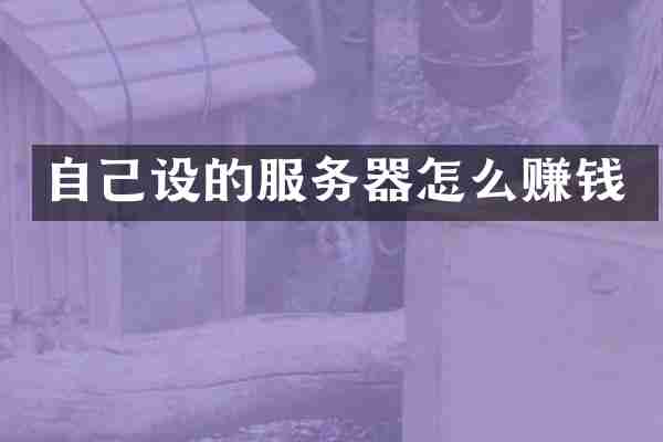 自己设的服务器怎么赚钱