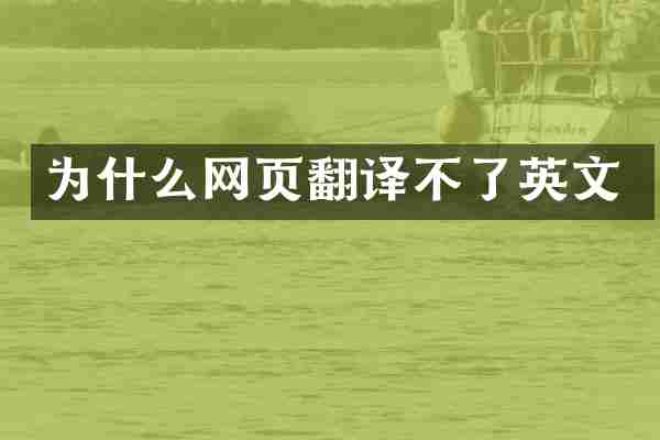 为什么网页翻译不了英文