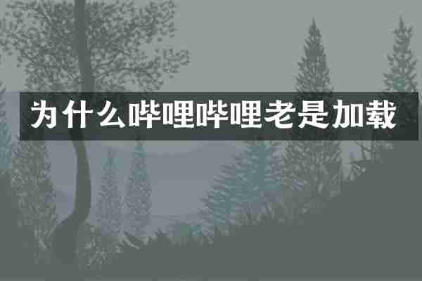 为什么哔哩哔哩老是加载