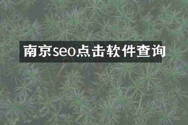 南京seo点击软件查询