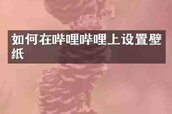 如何在哔哩哔哩上设置壁纸