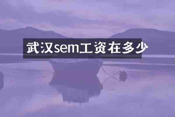 武汉sem工资在多少