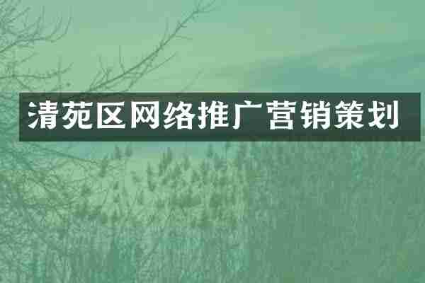 清苑区网络推广营销策划