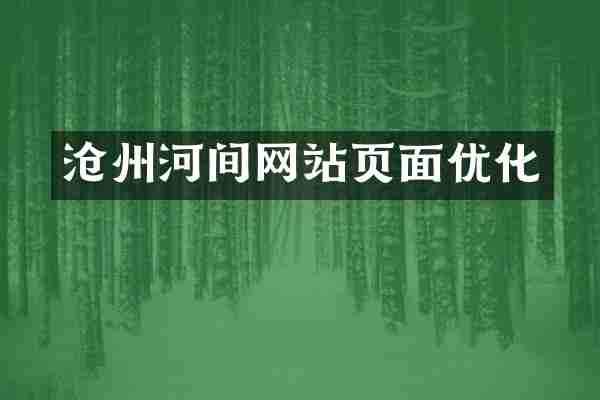 沧州河间网站页面优化
