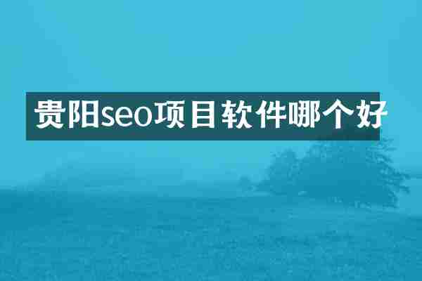 贵阳seo项目软件哪个好