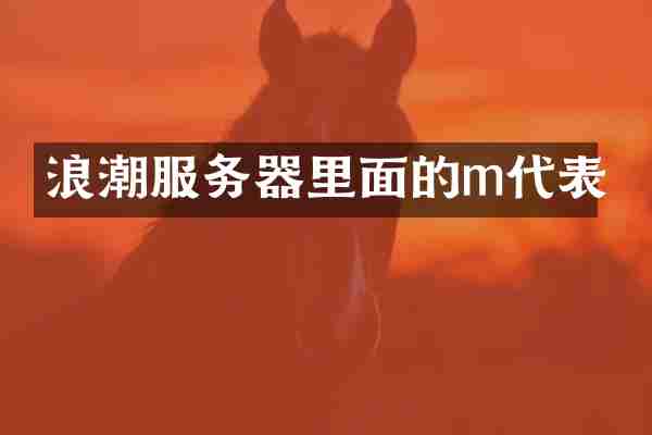 浪潮服务器里面的m代表