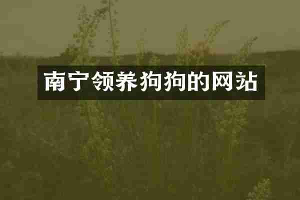 南宁领养狗狗的网站