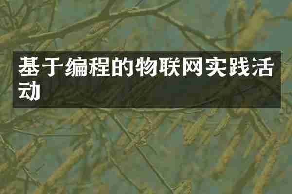 基于编程的物联网实践活动
