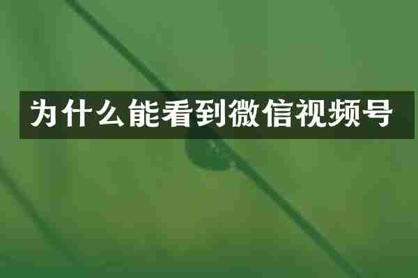 为什么能看到微信视频号