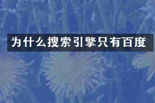 为什么搜索引擎只有百度