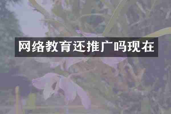 网络教育还推广吗现在
