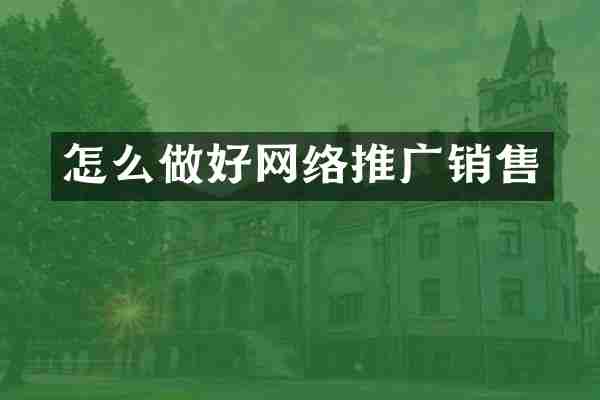 怎么做好网络推广销售