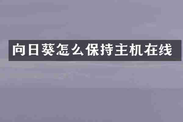 向日葵怎么保持主机在线