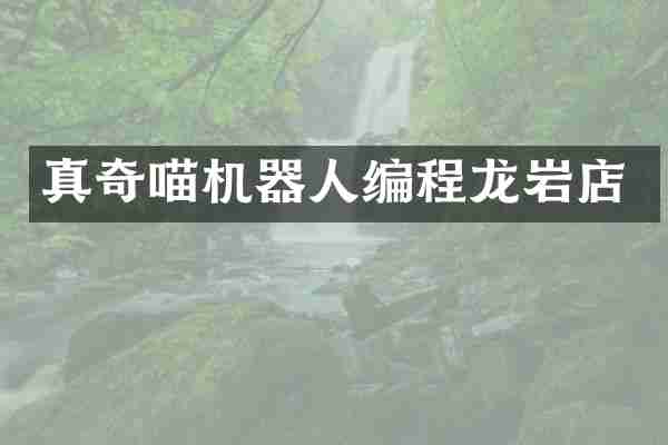 真奇喵机器人编程龙岩店
