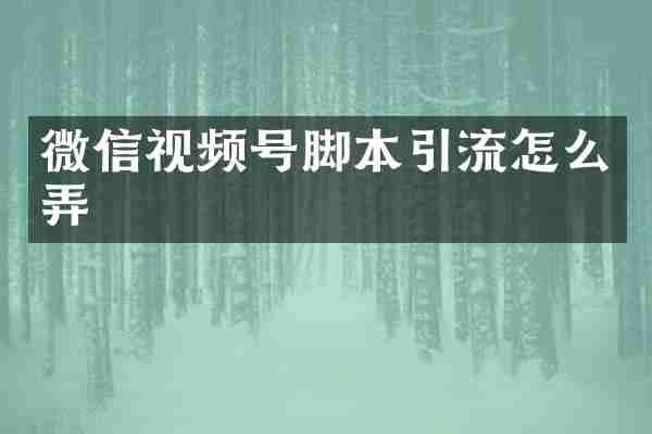 微信视频号脚本引流怎么弄