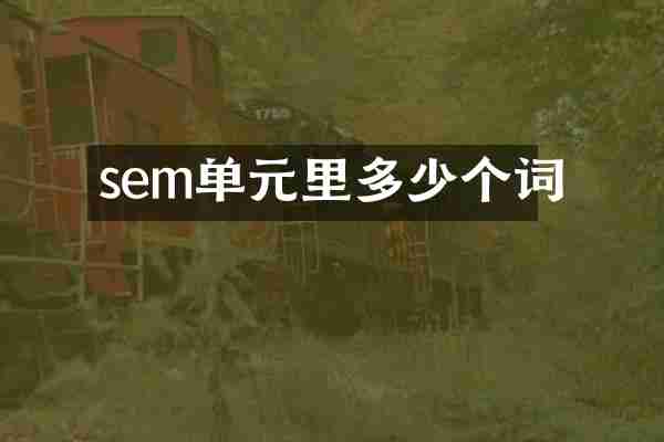 sem单元里多少个词