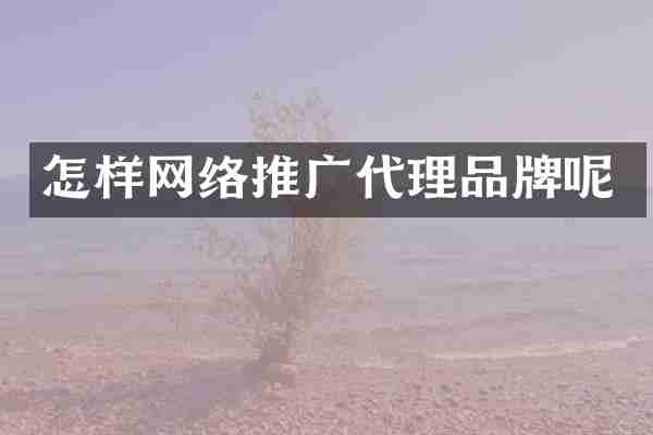 怎样网络推广代理品牌呢