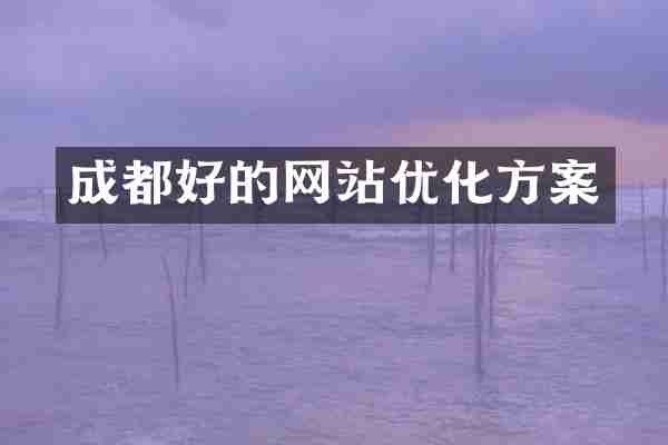 成都好的网站优化方案