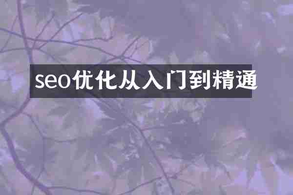 seo优化从入门到精通