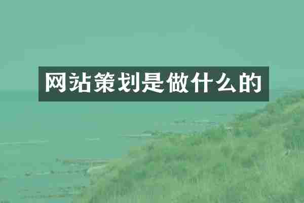 网站策划是做什么的
