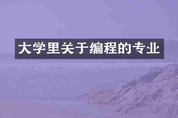大学里关于编程的专业
