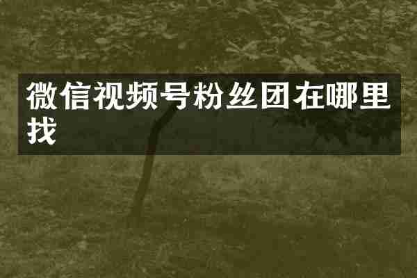微信视频号粉丝团在哪里找