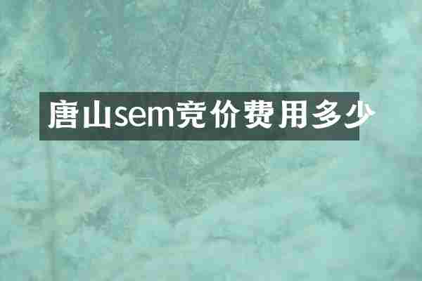 唐山sem竞价费用多少