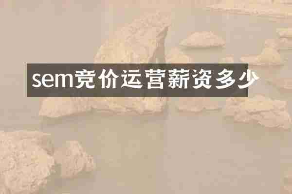 sem竞价运营薪资多少