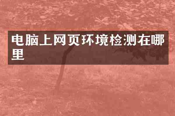 电脑上网页环境检测在哪里