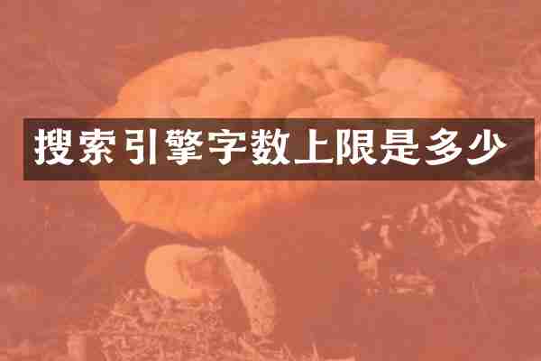 搜索引擎字数上限是多少