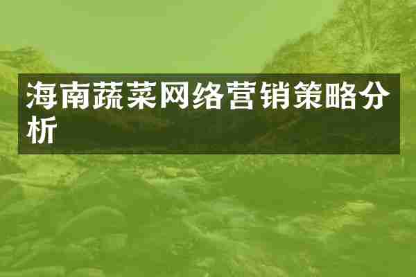 海南蔬菜网络营销策略分析