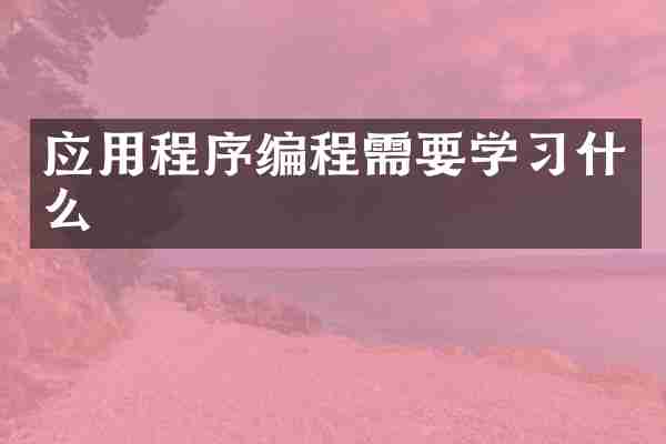 应用程序编程需要学习什么