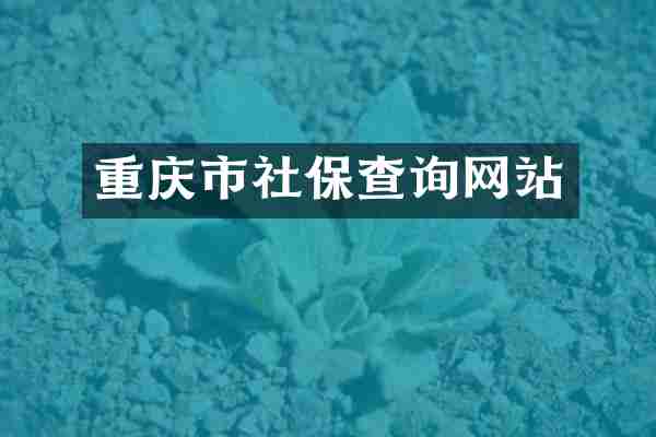重庆市社保查询网站