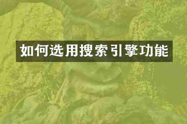 如何选用搜索引擎功能