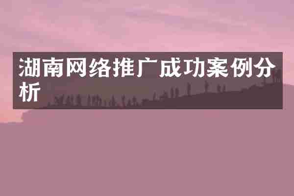 湖南网络推广成功案例分析