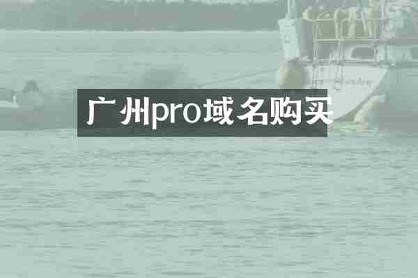 广州pro域名购买