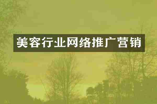 美容行业网络推广营销