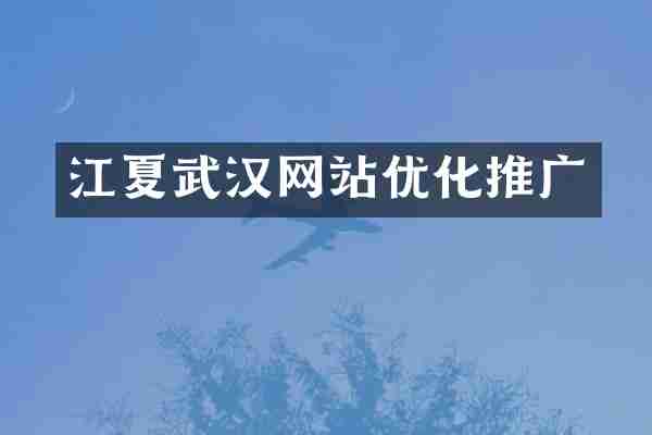 江夏武汉网站优化推广